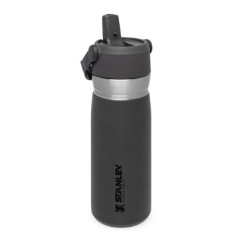Термобутылка Stanley Go IceFlow 0,65 л, серая